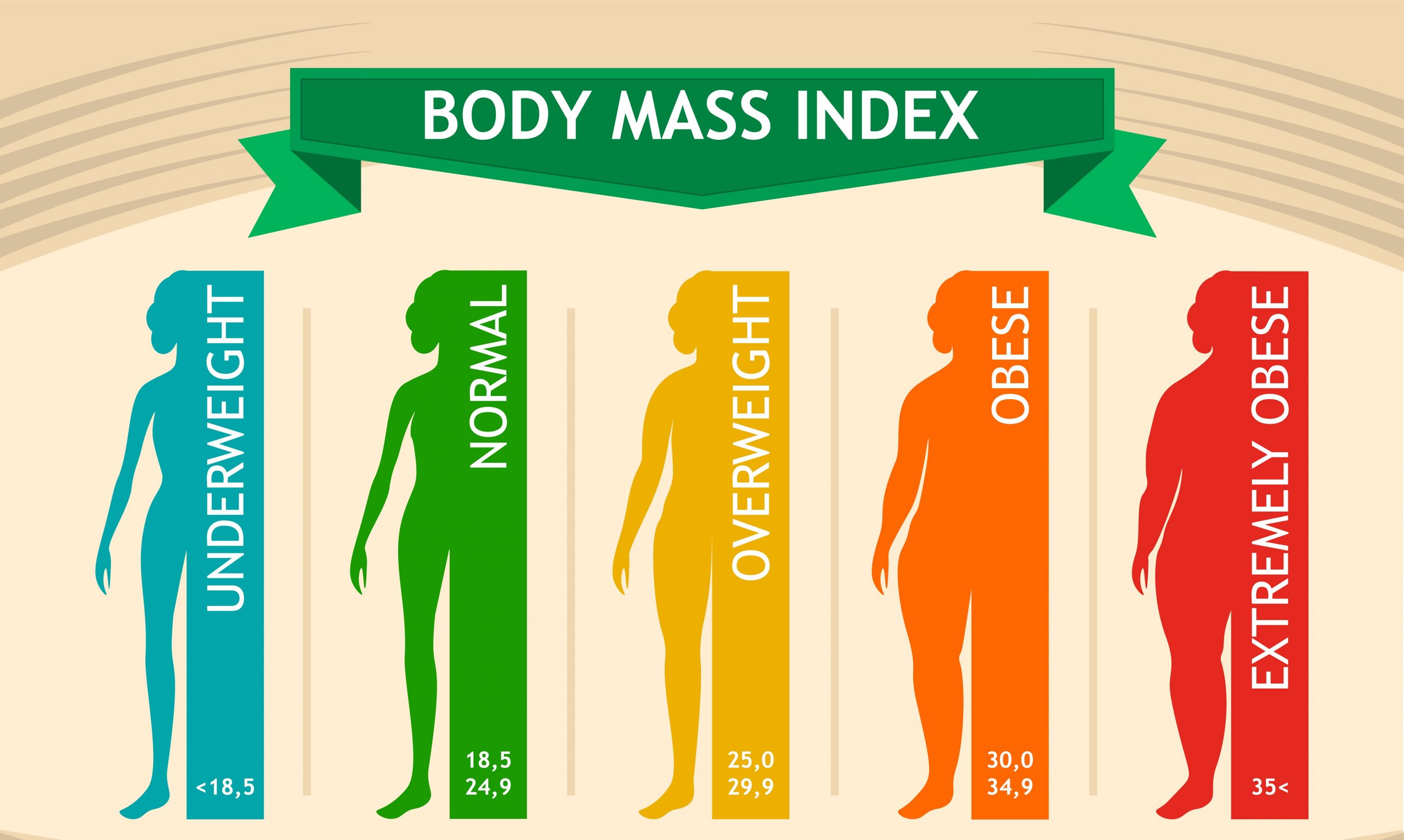 What is Body Mass Index (BMI) & How it is Calculated? | Doss India