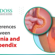 Differences Between Hernia and Appendix